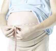10 Недели од бременоста - феталната големина