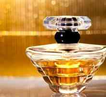13 Култот мирис парфем