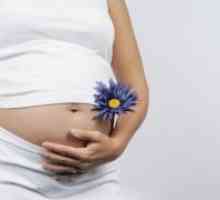 Акушерски 16 недела од бременоста