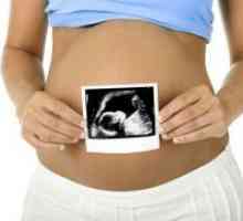 22 Недели од бременоста - феталните движења