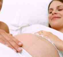31 Недели од бременоста - фетусот движење