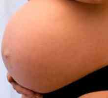 37 Недели од бременоста - второ раѓање
