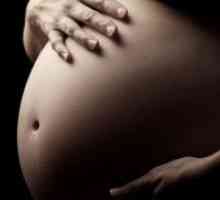 39 Недели од бременоста - стомак kameneet