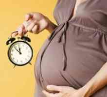 41 Недела од бременоста - не прекурзори