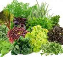 8 Причини да се сака зеленчук