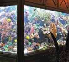 Додатоци за аквариум