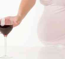 Пиење во рана бременост: влијание врз здравјето на децата