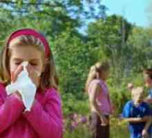 Алергиски бронхитис кај деца