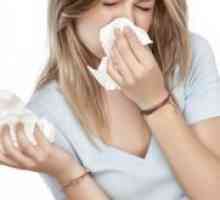 Алергии на прашина - Симптомите