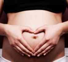 Антенатална заштита во текот на бременоста