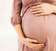 Антифосфолипиден синдром и бременоста