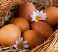 Јајце протеини - калорична