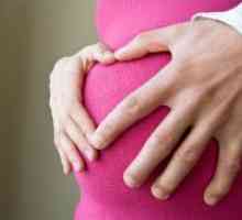 Бел исцедок за време на бременоста
