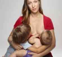 Бременост и доење