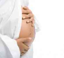 Бременоста, кога стомакот ќе почне да расте?