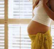 Бременост по пропушти абортус