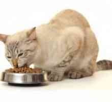 Bezzernovoy храна за мачки
