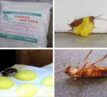 Борна киселина лебарки - рецепт со јајце