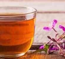 Чај направен од fireweed - придобивките и штетите