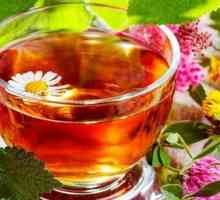 Чај направен од детелина - придобивките и штетите