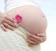 Како да се излечи габична инфекција во текот на бременоста?