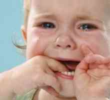 Отколку да се третираат стоматитис кај децата во устата?