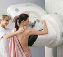 Што е подобро - ултразвук или мамографија?