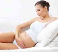 Она што не да се направи на почетокот на бременоста?