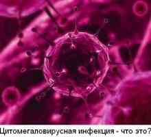 Цитомегаловирус (ЦМВ) - што е тоа?