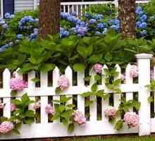 Декоративна пластика ограда