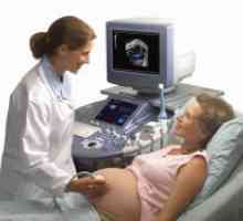 Doplerometrii за бремените жени - податоци, стапката на