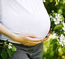 Природното породување или царски рез