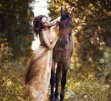 Photoshoot со коњи