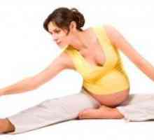 Гимнастика за бремени жени - 2 триместар