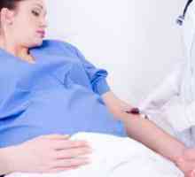 Тест за толеранција на глукоза во текот на бременоста