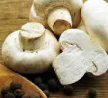 Сос од печурки со исушени печурки