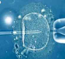 Ембриони шрафирање