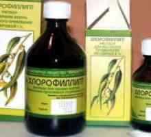 Chlorophyllipt за доенчиња
