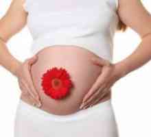 Имуноглобулин во текот на бременоста