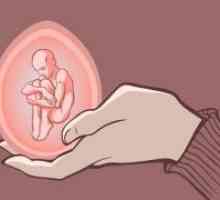 Предизвикана абортусот