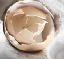 Eggshell - придобивките и штетите