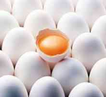 Јајце протеини