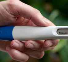 Електронски тест за бременост