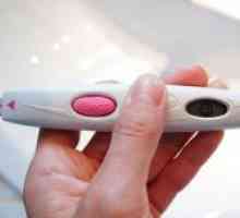 Електронски тест за бременост
