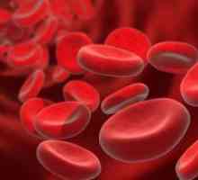 Црвени крвни клетки во крвта - норма
