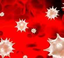 Црвени крвни клетки во крвта на детето
