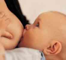 Колку често треба да се хранат новороденчето со мајчино млеко?