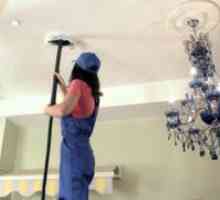 Како да се мијат тавани во домот?