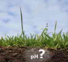 Како да се утврди киселоста на почвата?