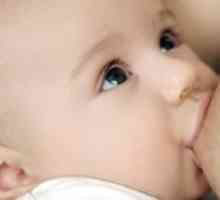 Како да се учат на бебето на дојка?